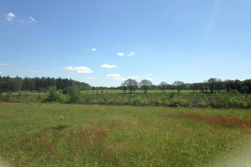 Acker Lodges 2 - foto 39