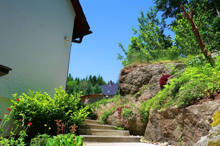 Blackforestbirdnest - foto 16