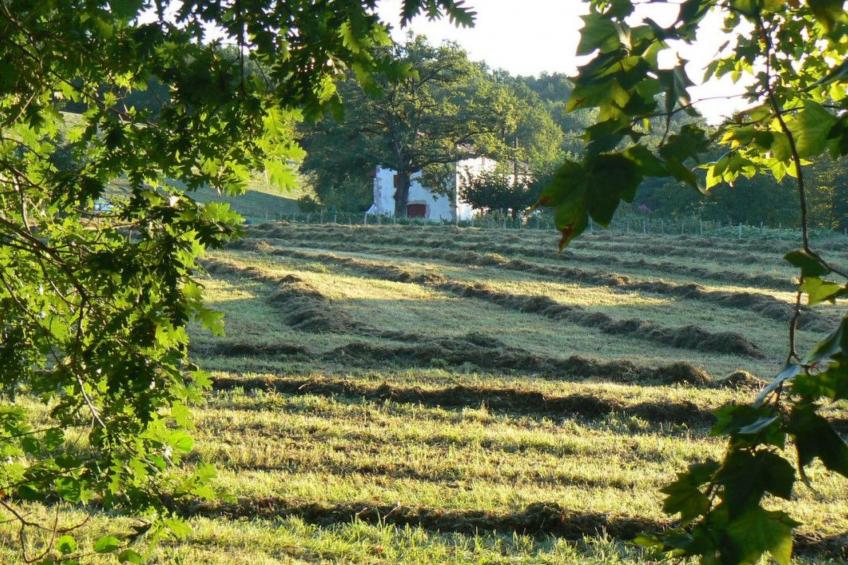Fewo mit Terrasse - foto 12