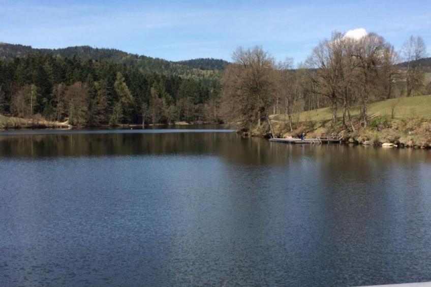 Gemütliche Ferienwohnung mit gemeinsamem Pool - foto 39