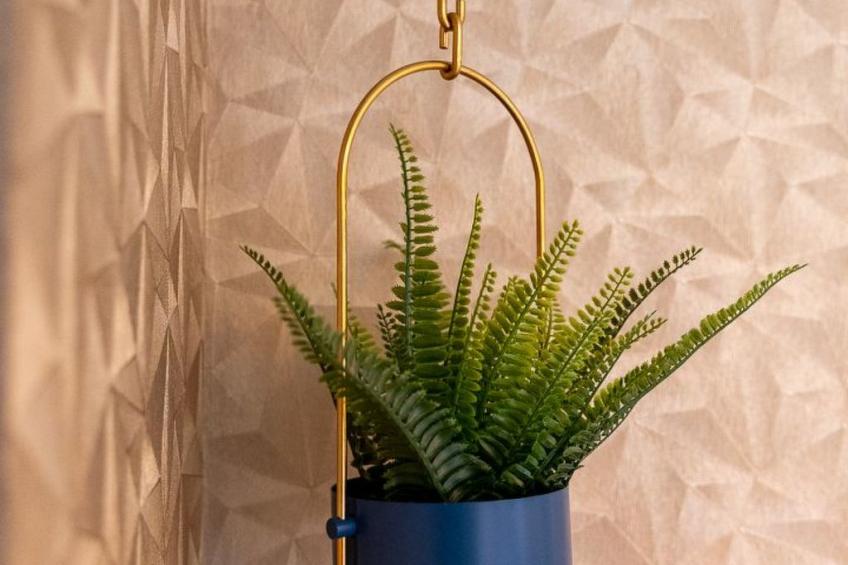 Golden Nugget - foto 16