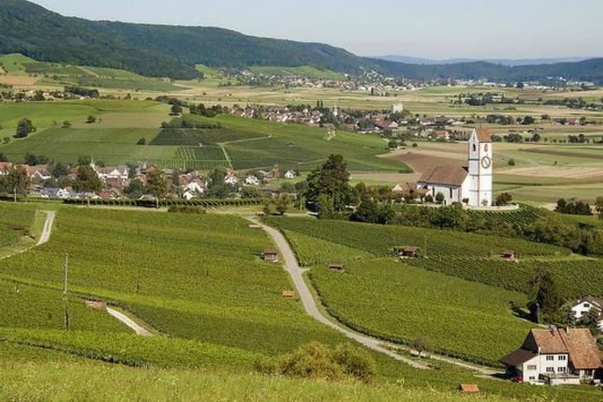 Berghof Hallau kleine Ferienwohnung - foto 8