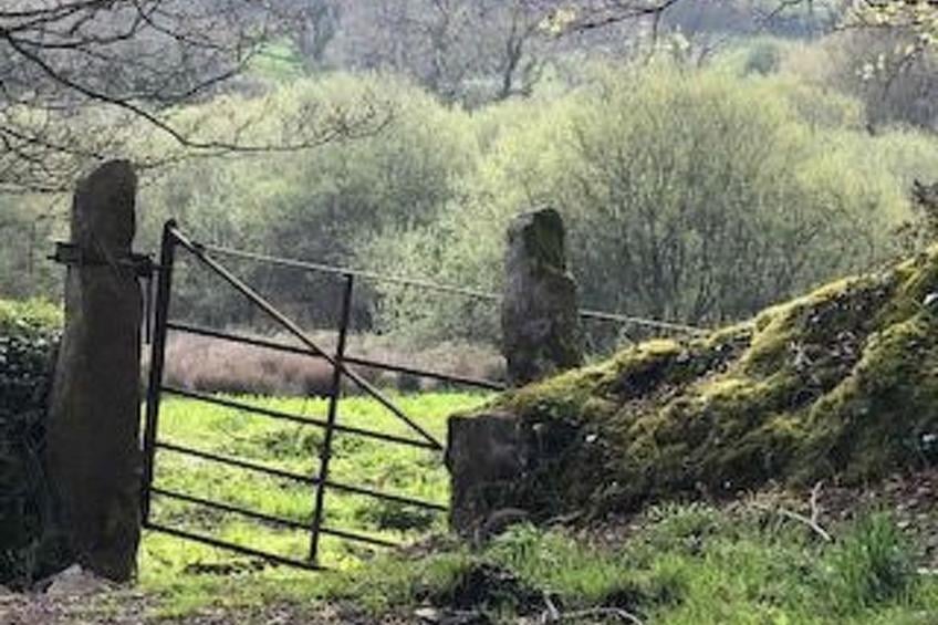 Idyllisches,haustierfreundliches Landhaus Lavender - foto 27