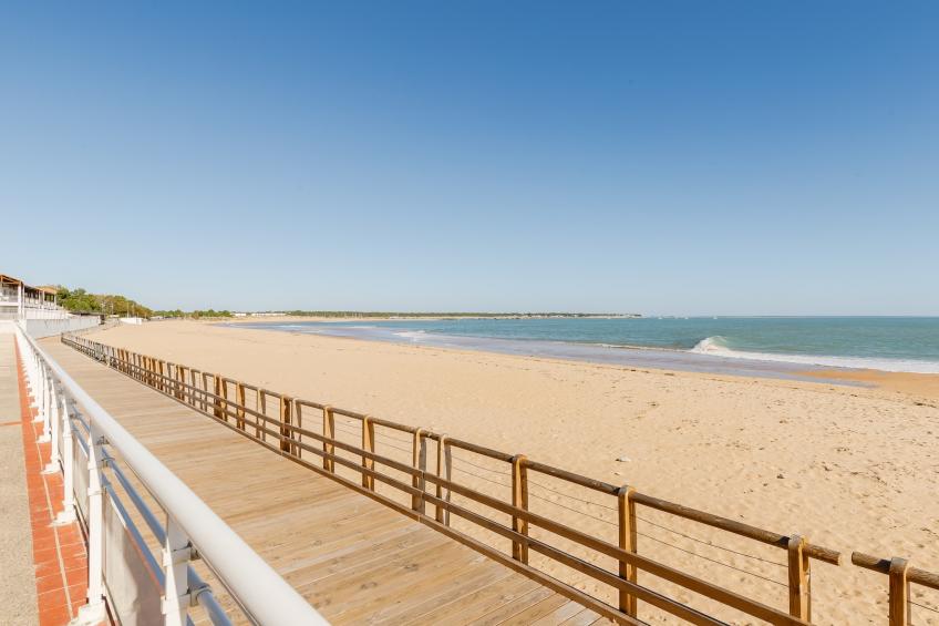 L Ocean N°40 - 2P5 - foto 14