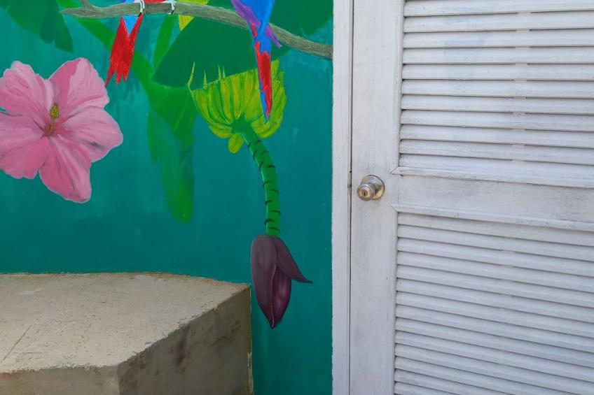 Aqua Vista Cur - foto 3