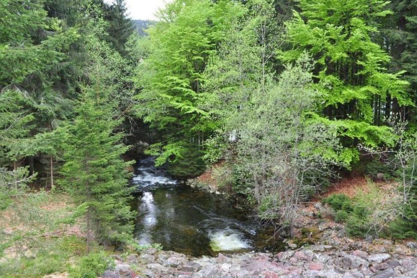 mit sonniger Terrasse und Ausblick - foto 24