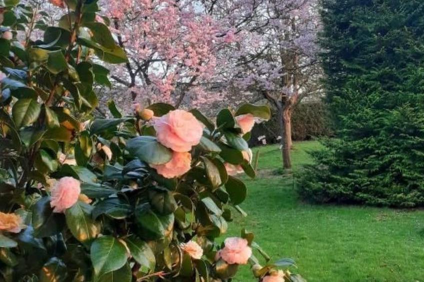 Normannisches Ferienhaus mit Charme les châtaigniers 1 Zimmer - foto 29