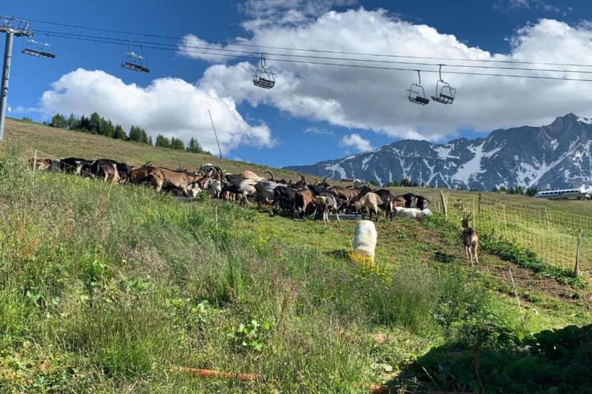 Chalets Les Amis 1 - foto 38