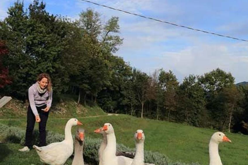 Duck's Cottage für einen Dolomitenurlaub - foto 27