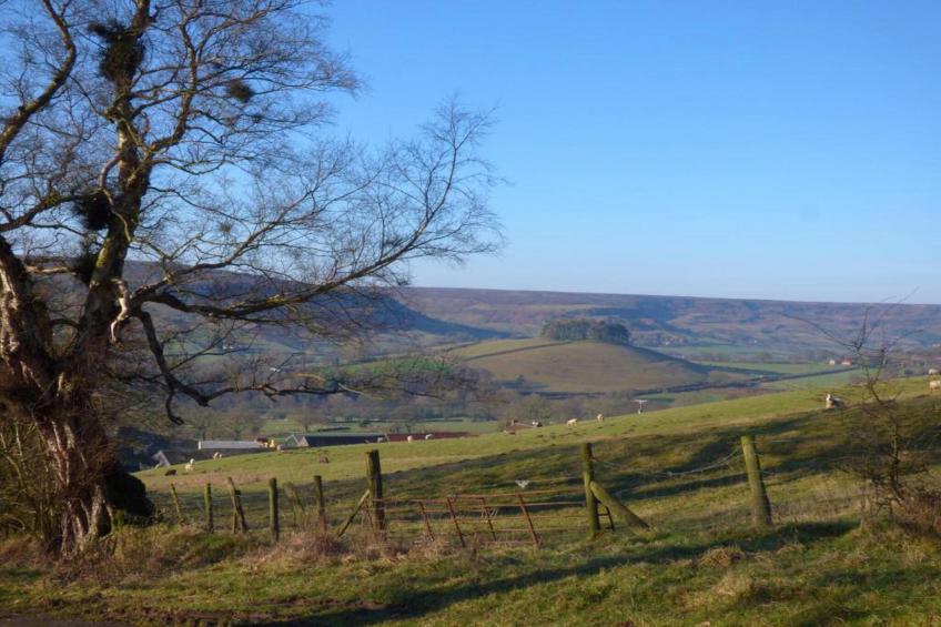 Swaledale Hall Cottage - foto 31