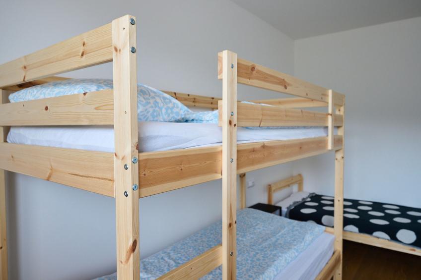 Forest line - foto 13