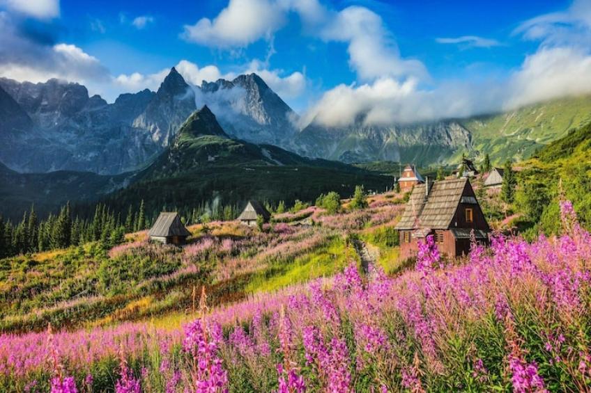 Dom wakacyjny TATRA WOOD HOUSE 1 - foto 15