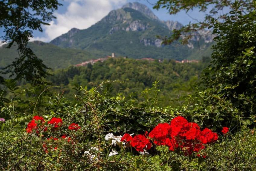 'Capanne 2 - foto 20