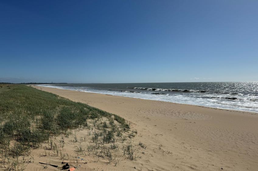 Maison de charme Les Yuccas - foto 17