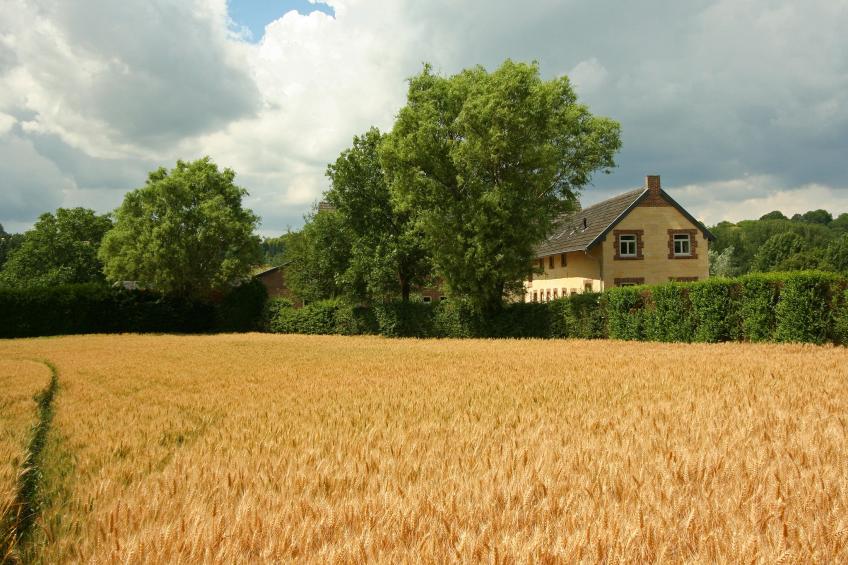Hoeve in gunne winkel 1 - foto 22