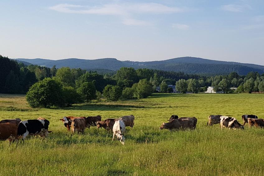 mit Wallbox - foto 30