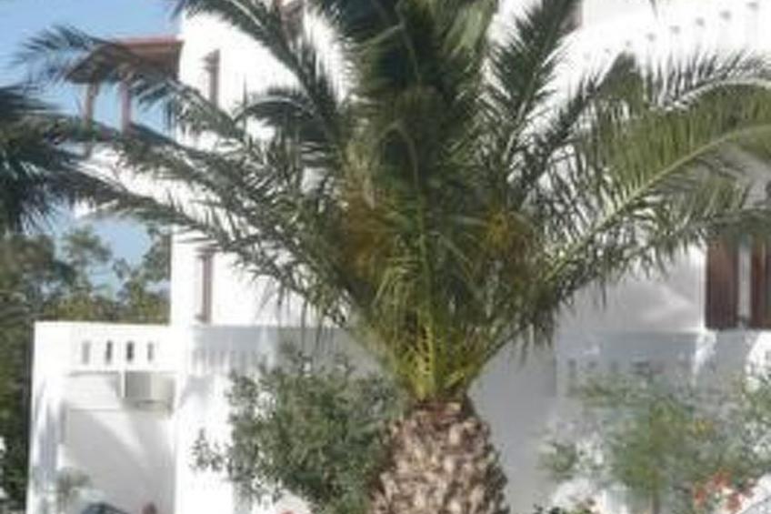 Apartment Villa Michalis in Agios Nikolaos - foto 4