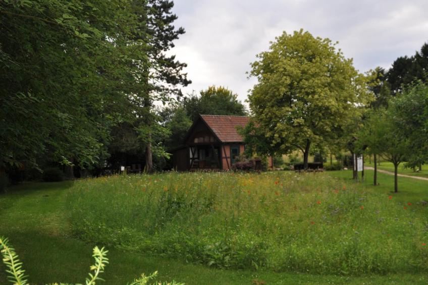 Rosalie - Ruhig - Zentral - Hochwertig - foto 37