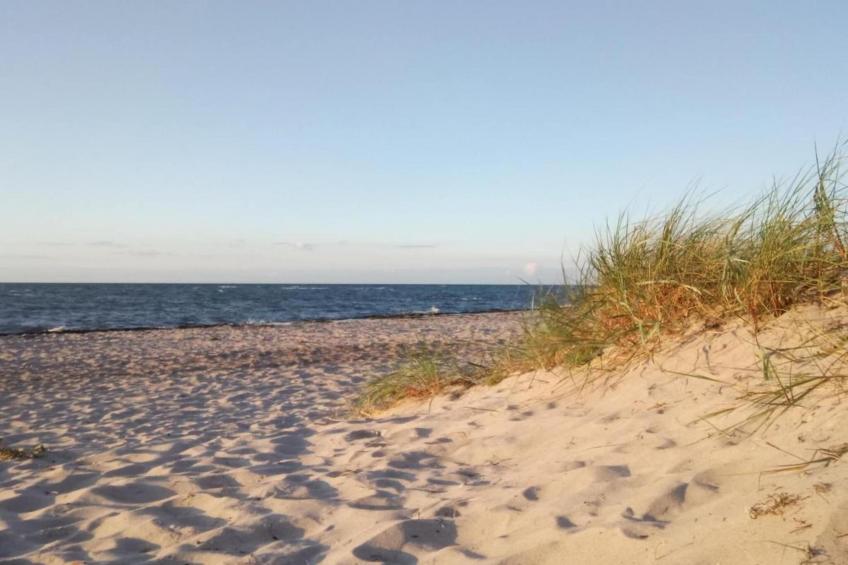 Sommerglück - foto 33