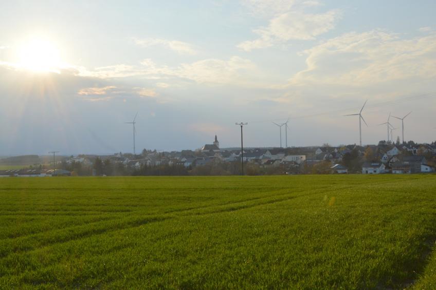 Petryhof - foto 39