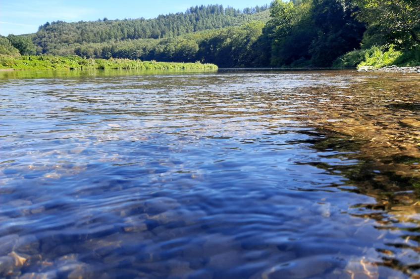 Au Coeur d'Alle Single Room - foto 30