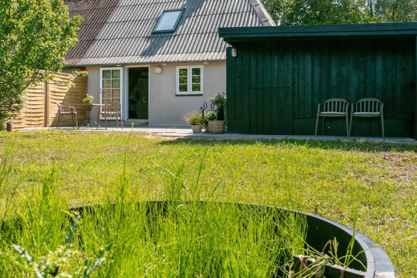 BF-JPG96 - foto 4