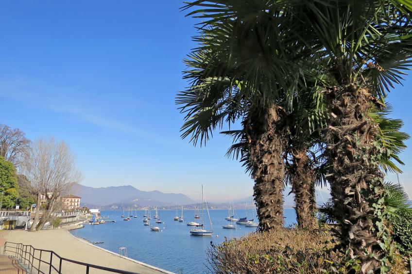 Il Gianlupo Azzurro - foto 24