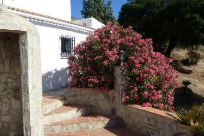 Finca "La Estrella de Cómpeta". - foto 3