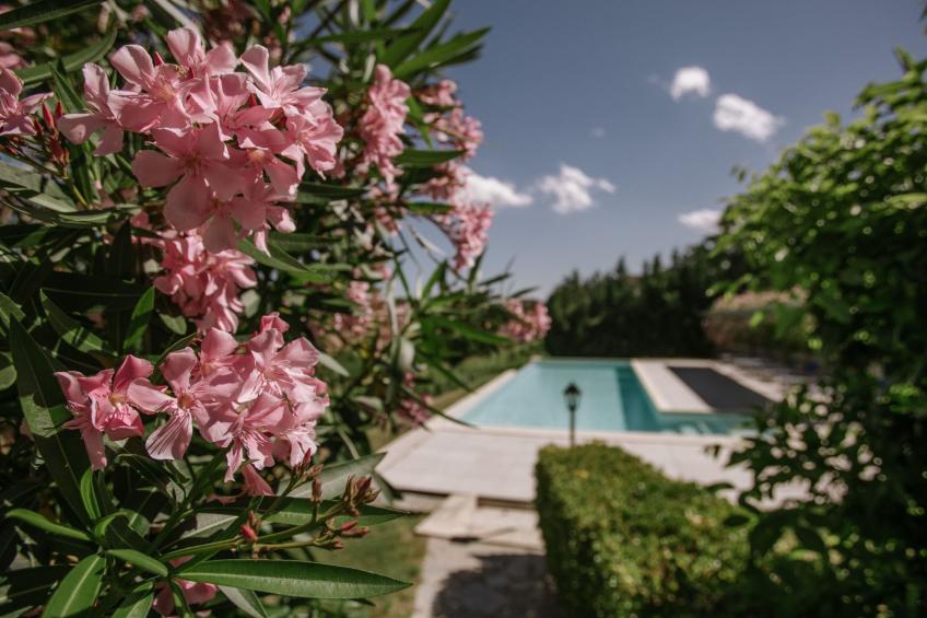 'Barbera' mit Pool - foto 12