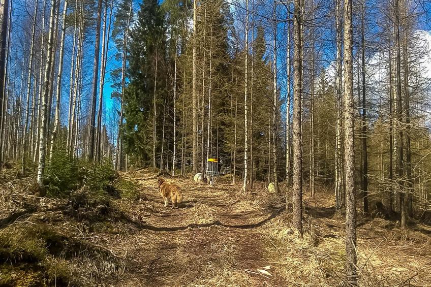 Villa akuliina - foto 8