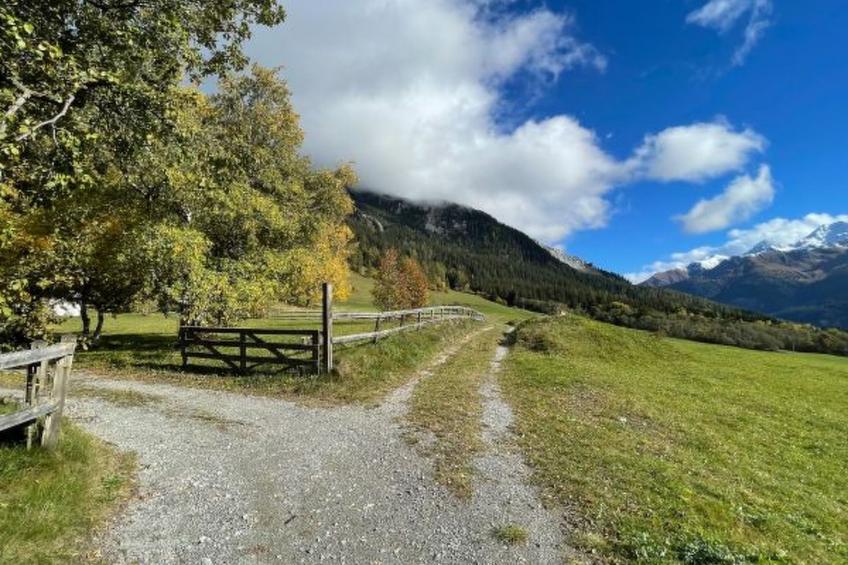 mit Garten Tgeasa Schilendra-Lantsch/Lenz - foto 22