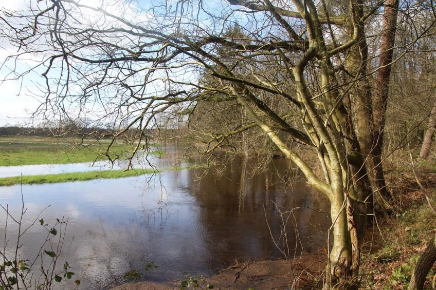 Okken House 3A - foto 34