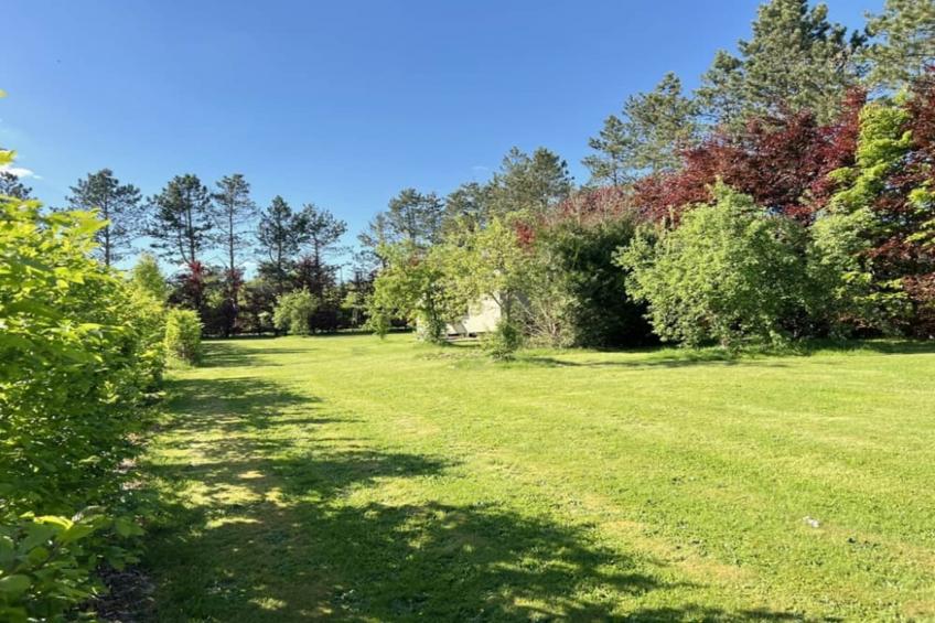 Pine Tree Tiny Cottage - foto 5