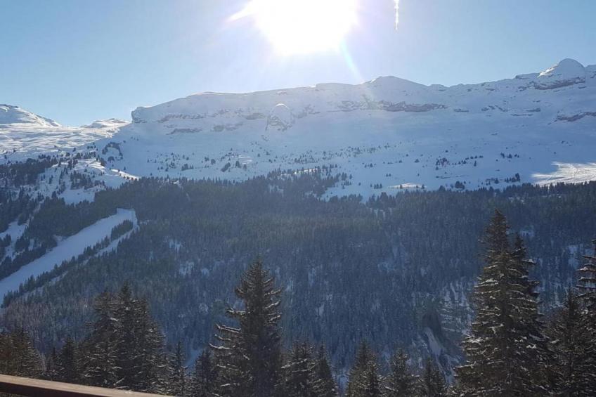 Les Portes du Grand Massif 3 - foto 40