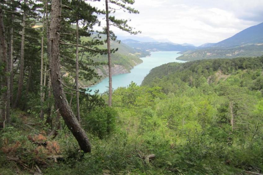 Les Gentianes - foto 34