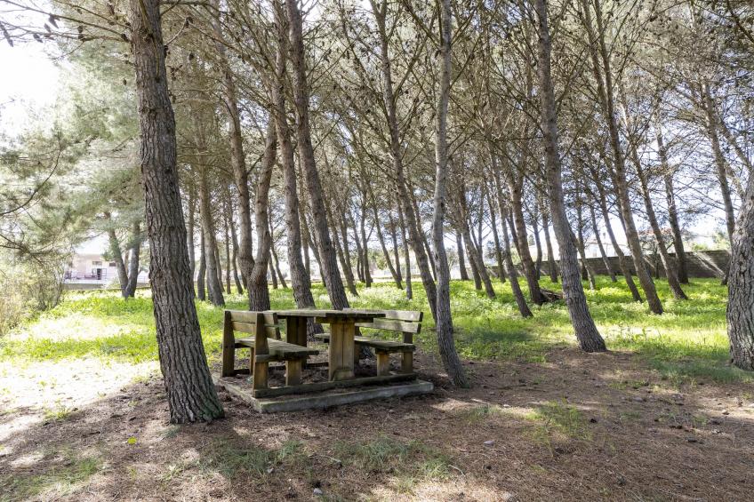 CASA ALBERICI - foto 40