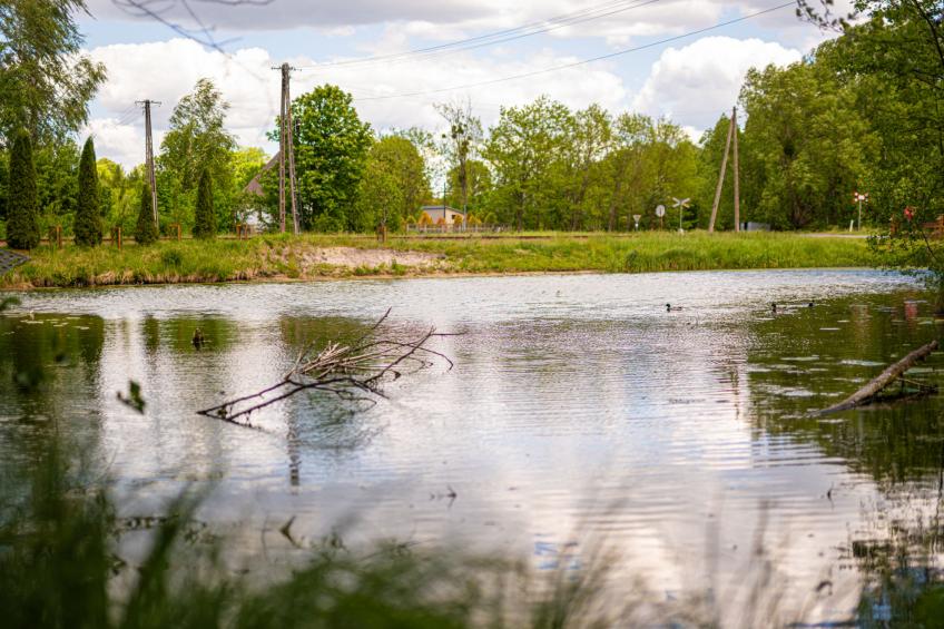 Zatylówka - foto 44
