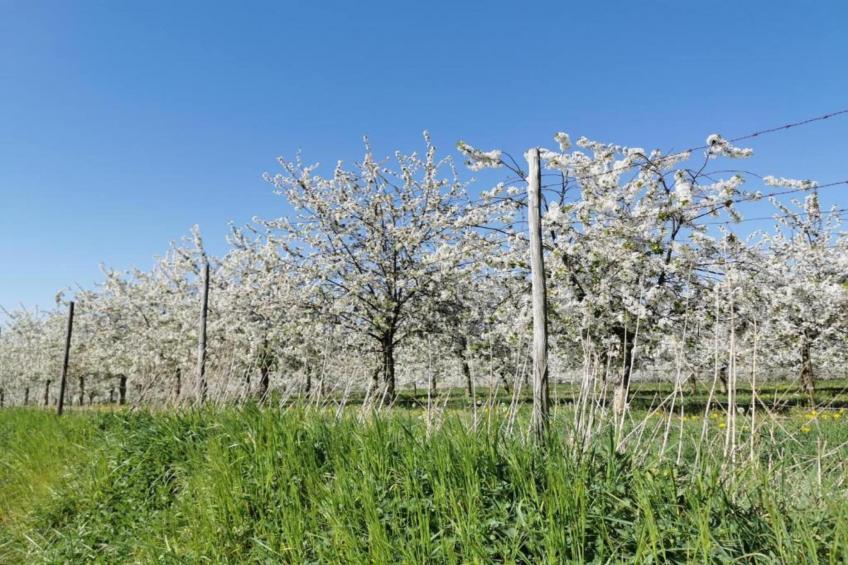 Resort Maastricht 38 - foto 36