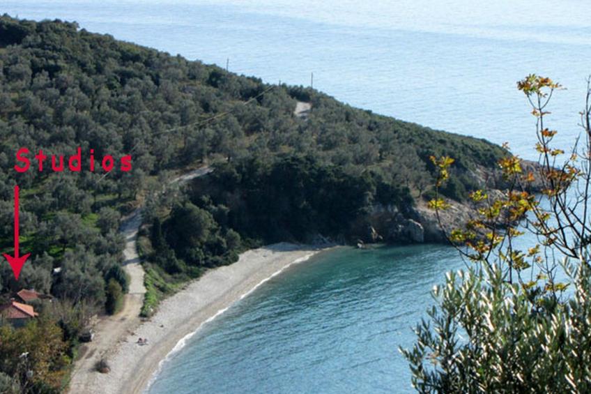 Niki Studios 1 - foto 20