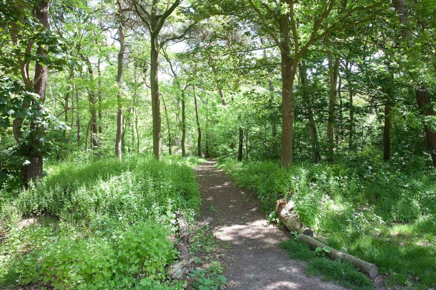 Betonnen Boshuis - foto 33