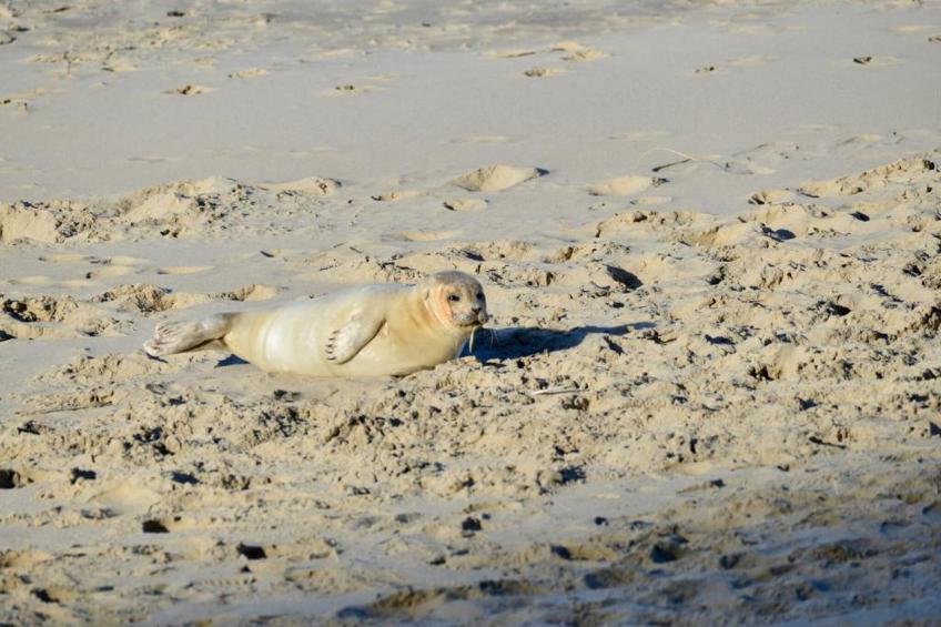 Appartement - Burg van Woelderenlaan 100-4 - foto 33