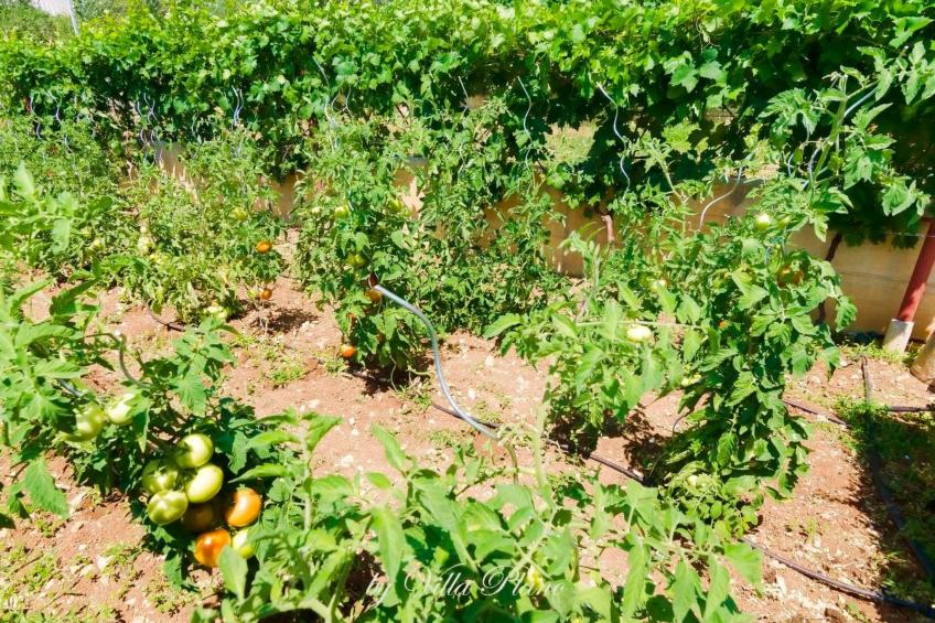 Ferienvilla "Plano" mit Blick auf das Wasser - foto 42