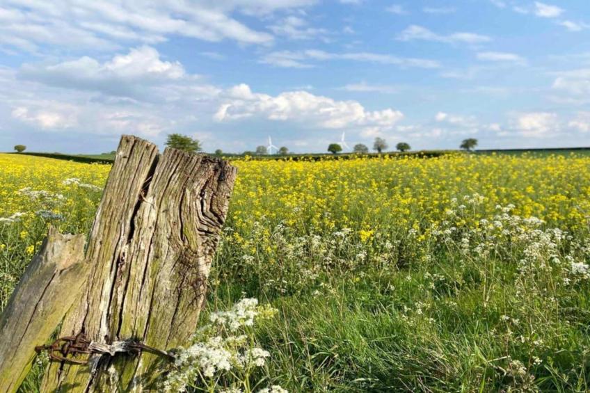 Bulrush Bell Tent - foto 27