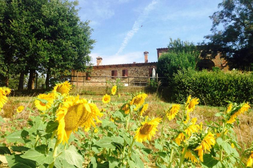 Toskana Poggio Cantarello - foto 19