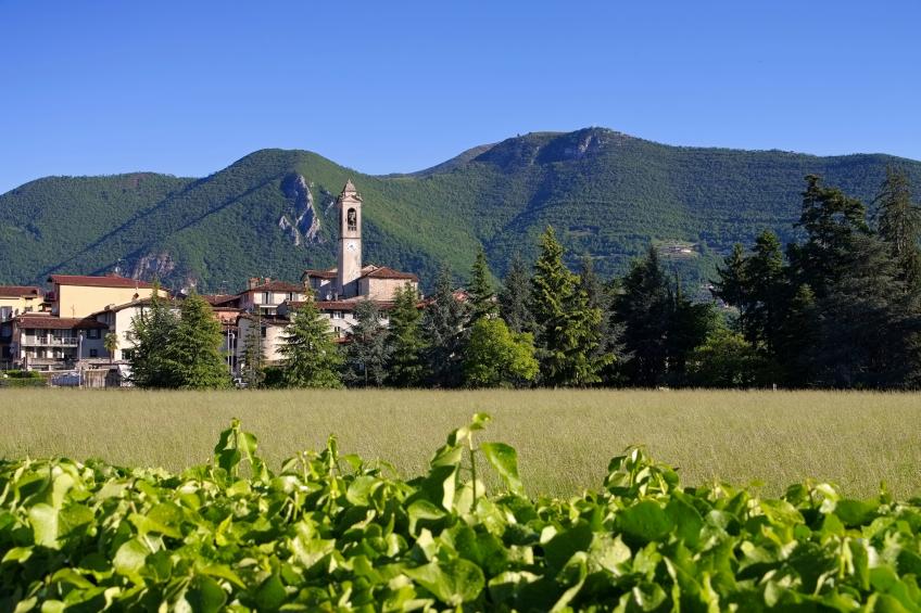 Villa Fiora Tra Le Colline E Il Lago - foto 30
