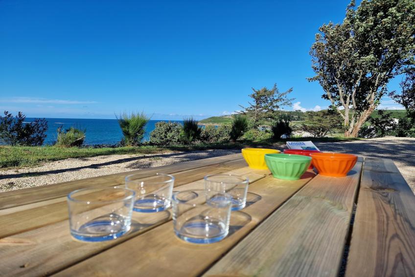 Maison de vacances Plougasnou - foto 19