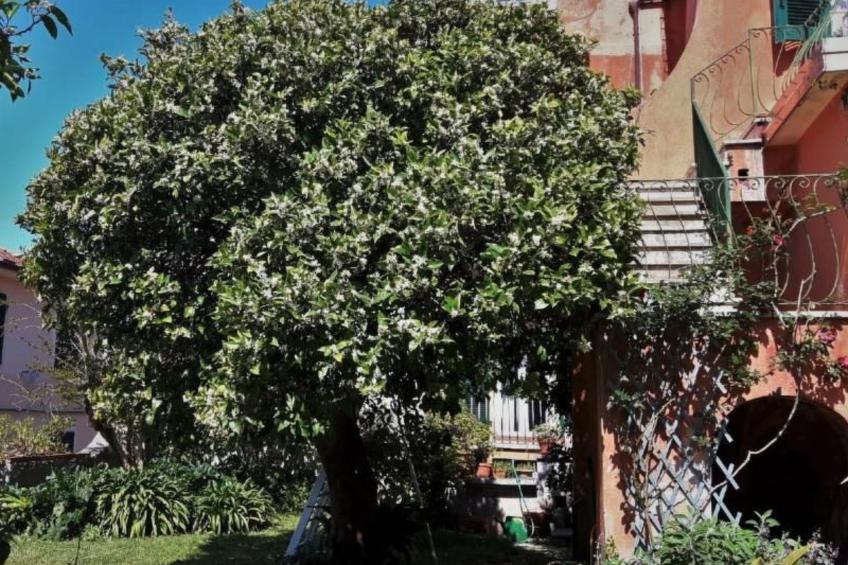 mit Wasserblick - foto 19