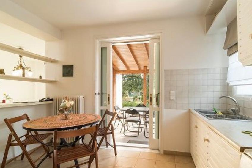 neben Orangenbaum-Obstgarten - foto 10