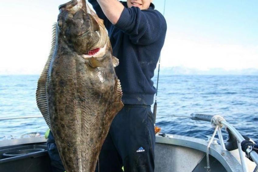 Meløy Naturopplevelser Tømmervik - foto 18