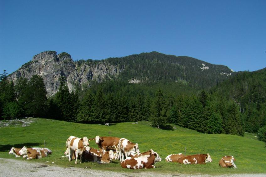 Betttis Bungalow - foto 28